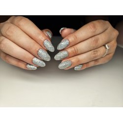 Holo Glitter Slv #4