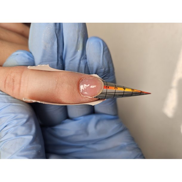 Shapes kursus hold -L�rdag d.19/9- 2026