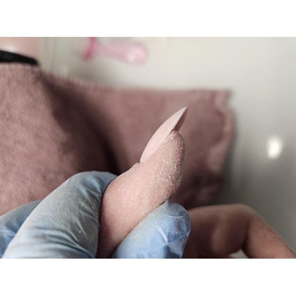 Shapes kursus hold -Lrdag d.19/9- 2026